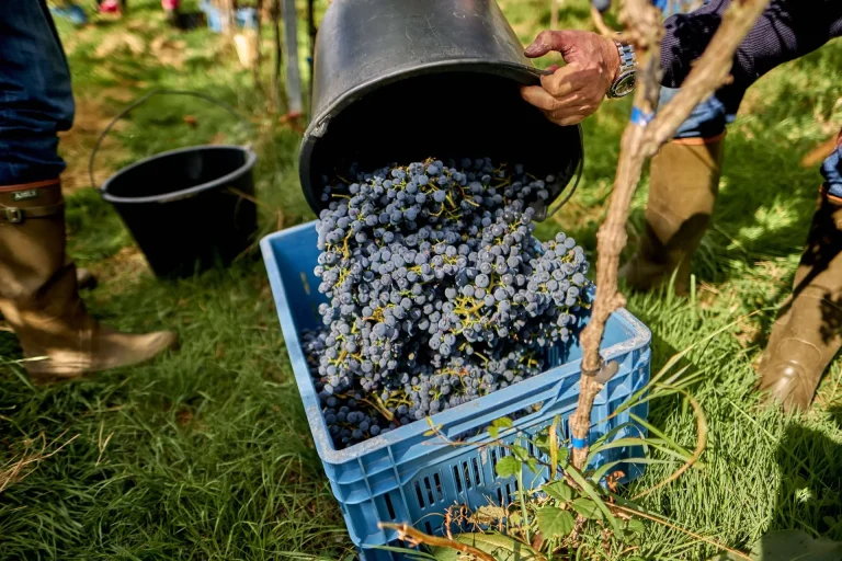 Château de Bioul — Photo 2