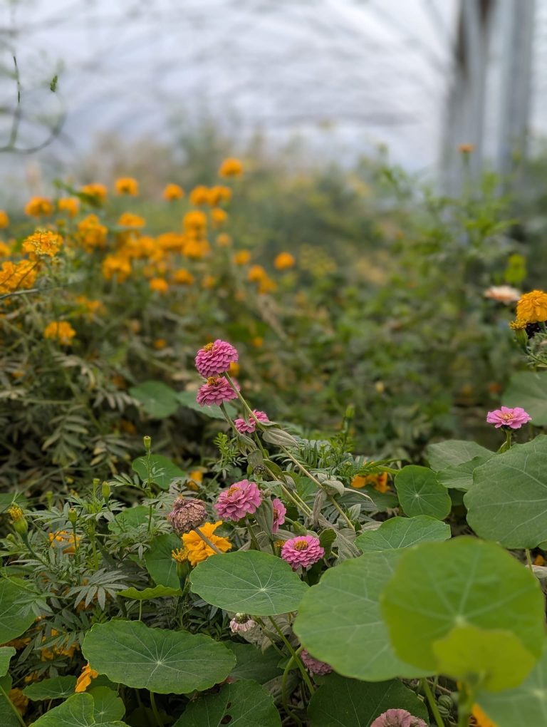 Le Potager Divin — Photo 1