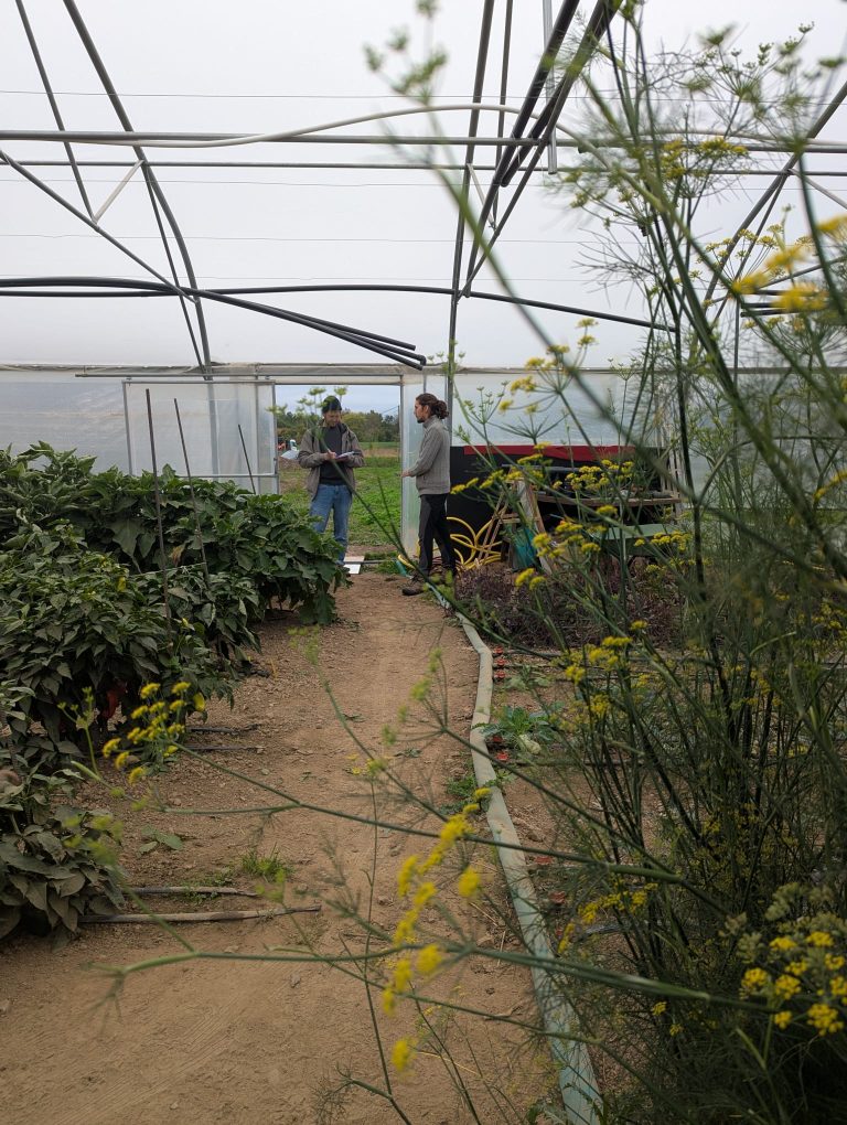 Le Potager Divin — Photo 3