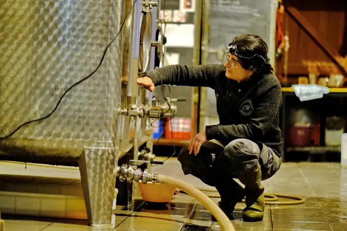 Château de Bioul — Photo 3