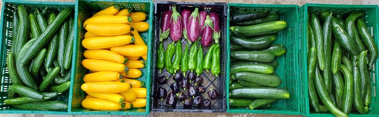 Le verger de la Molignée — Photo 2