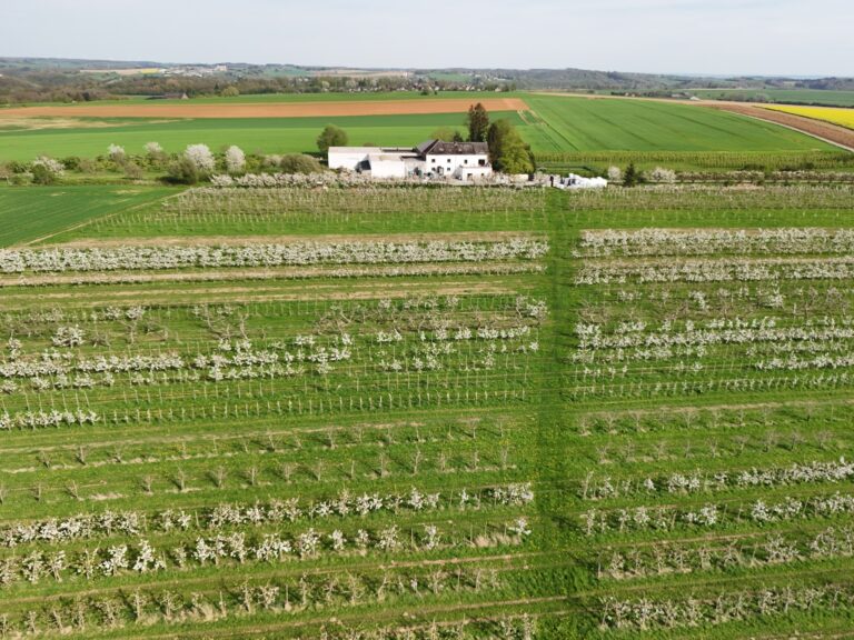 Les Vergers et Ruchers Mosans — Photo 5