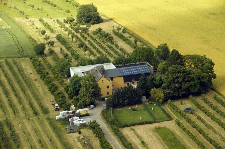 Les Vergers et Ruchers Mosans — Photo 4