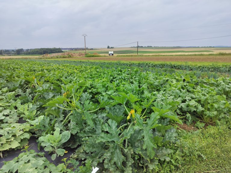 Les Jardins du Frech-Try — Photo 3