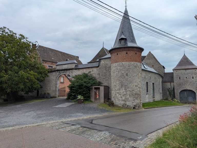 Les Oeufs du verger — Photo 2