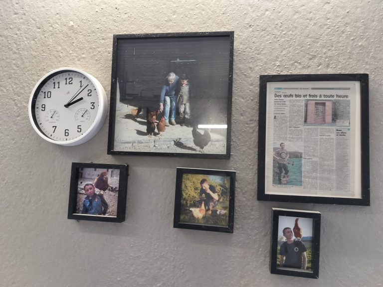 Les Oeufs du verger — Photo 4