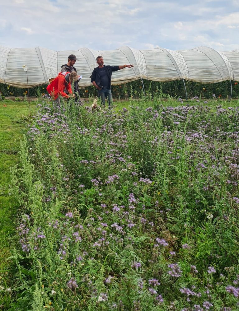 Les Jardins du Frech-Try — Photo 5