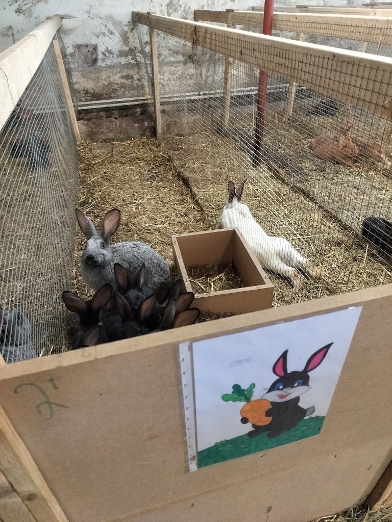 M.Agro.Bee — Photo 1