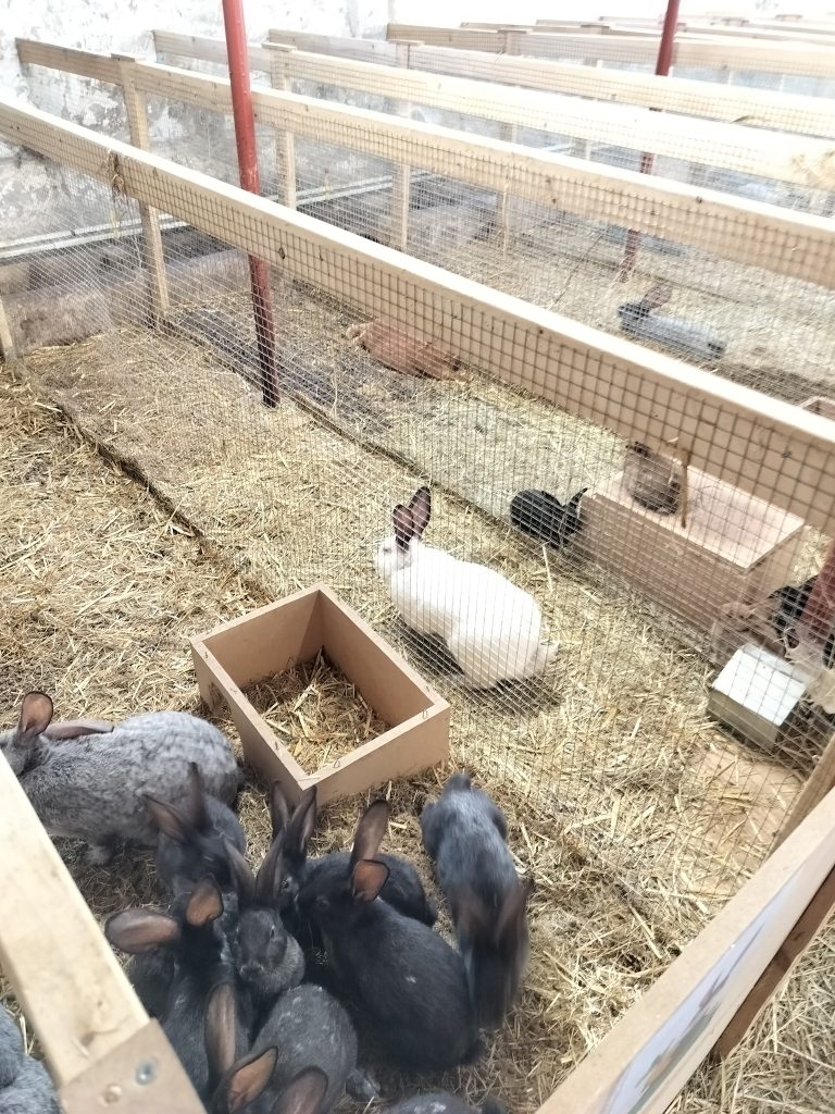 M.Agro.Bee — Photo 2