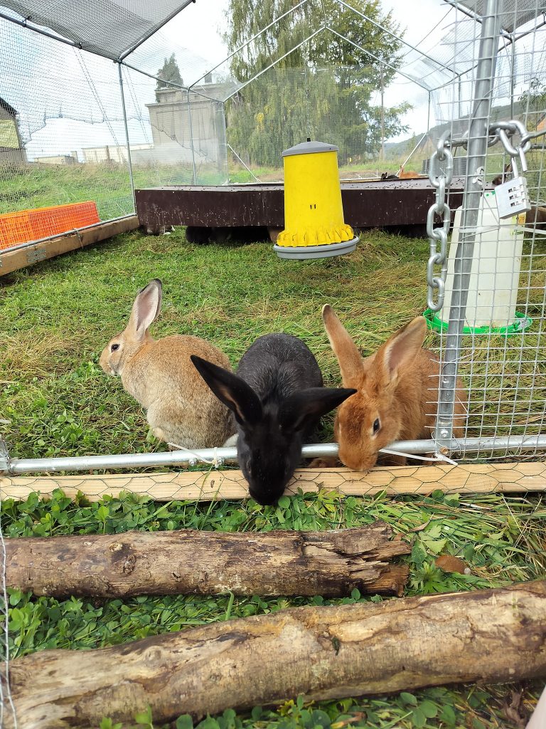 M.Agro.Bee — Photo 4