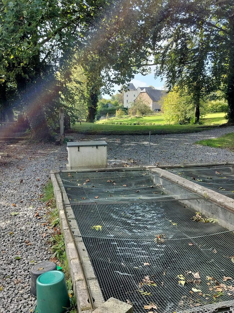 La Pisciculture Le Chêneau — Photo 2