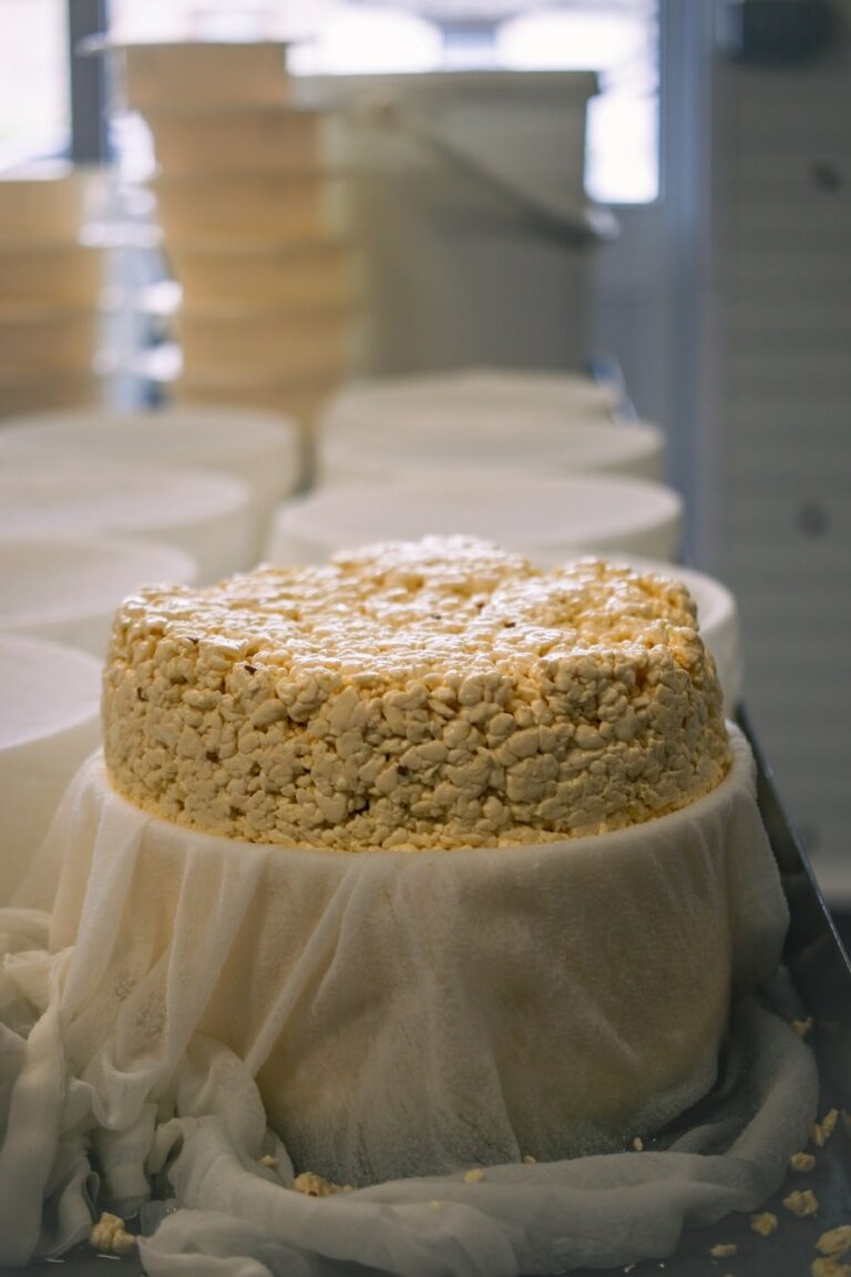La Fromagerie de Sommière — Photo 4