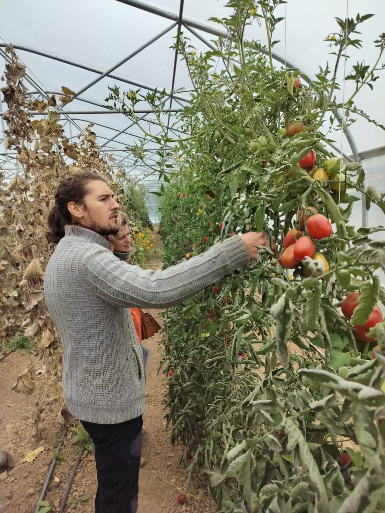 Le Potager Divin — Photo 5