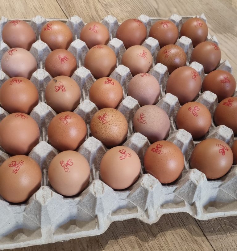 Les Cocot&rsquo;ysa — Photo 1