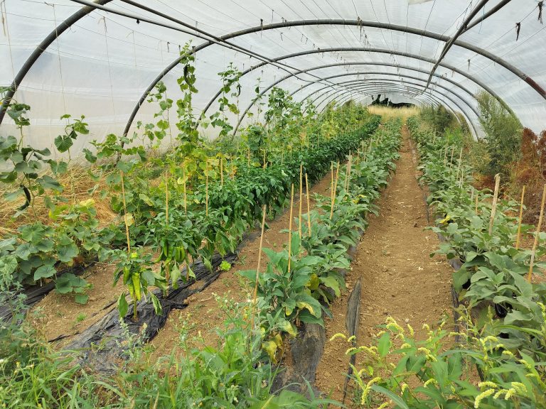 L&rsquo;Épicurie — Photo 2