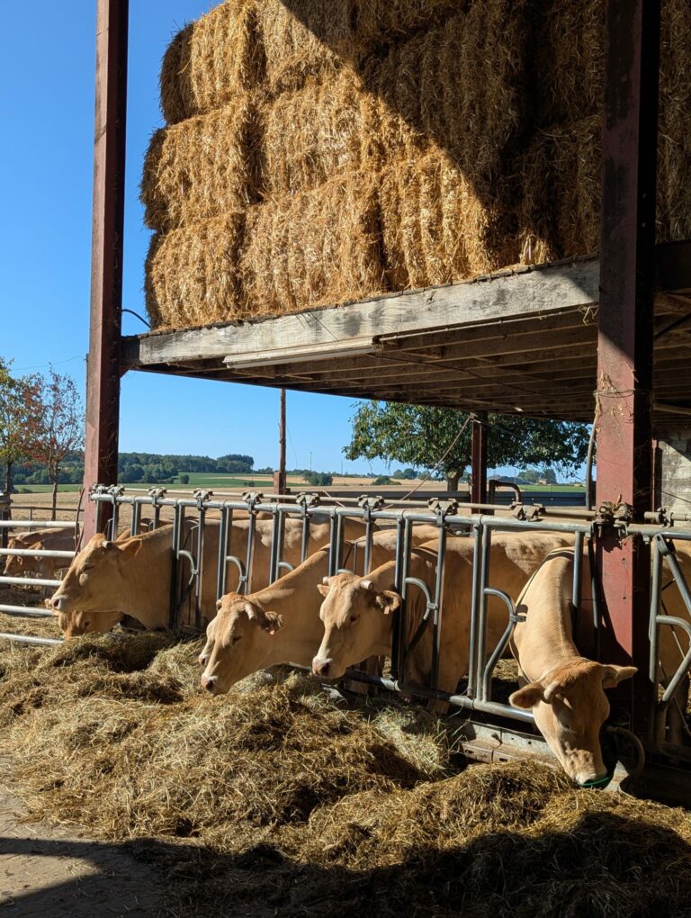 La Ferme du Grand Cortil — Photo 1