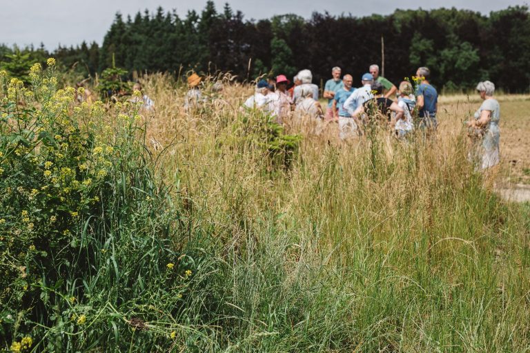 La Ferme de Grange — Photo 4