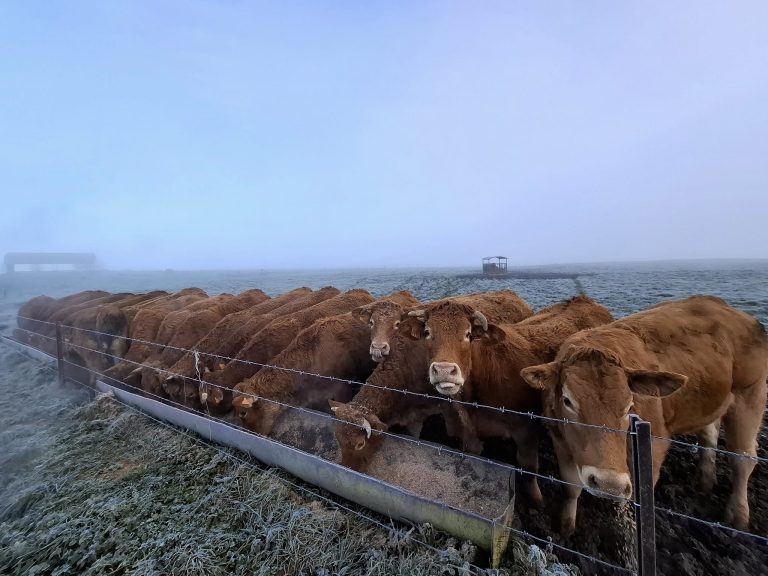 La Ferme de Frumont — Photo 5