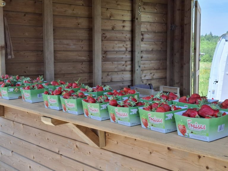 La Ferme de Frumont — Photo 6