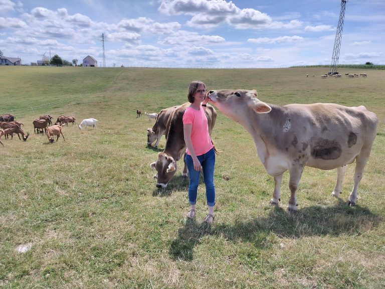 Les Fromages de Julie et autres délices — Photo 5