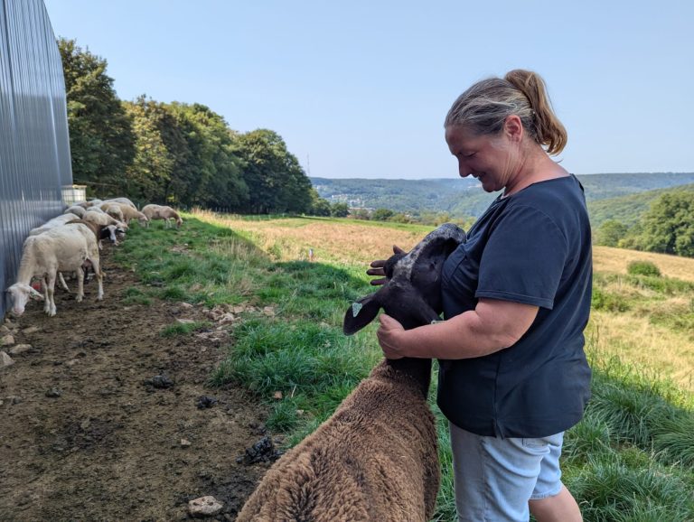 La Bergerie d’Emilie — Photo 2