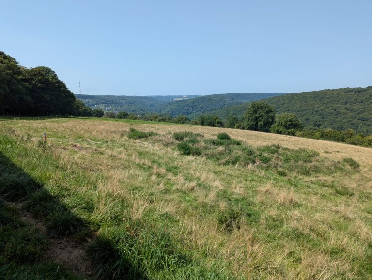 La Bergerie d’Emilie — Photo 5