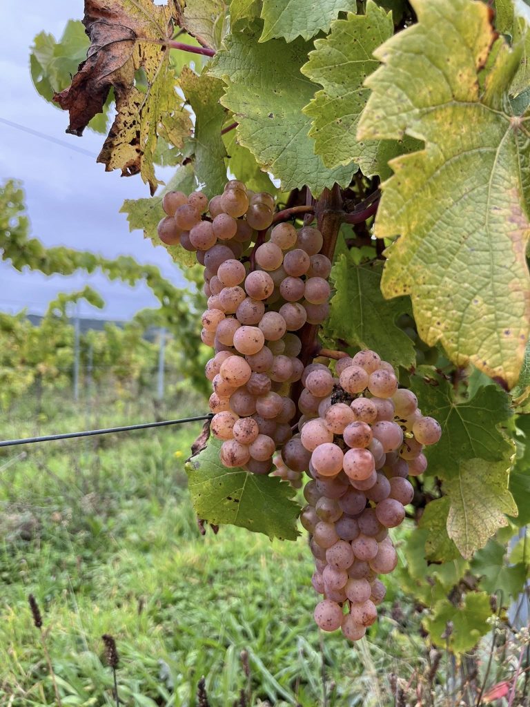 Château d’Annevoie — Photo 1