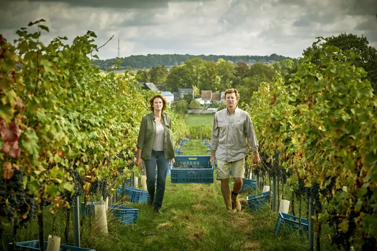 Château de Bioul — Photo 1