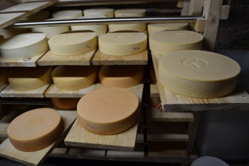 Le Condor — Photo 2