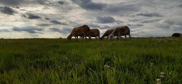 La Bergerie de Kumaye — Photo 3