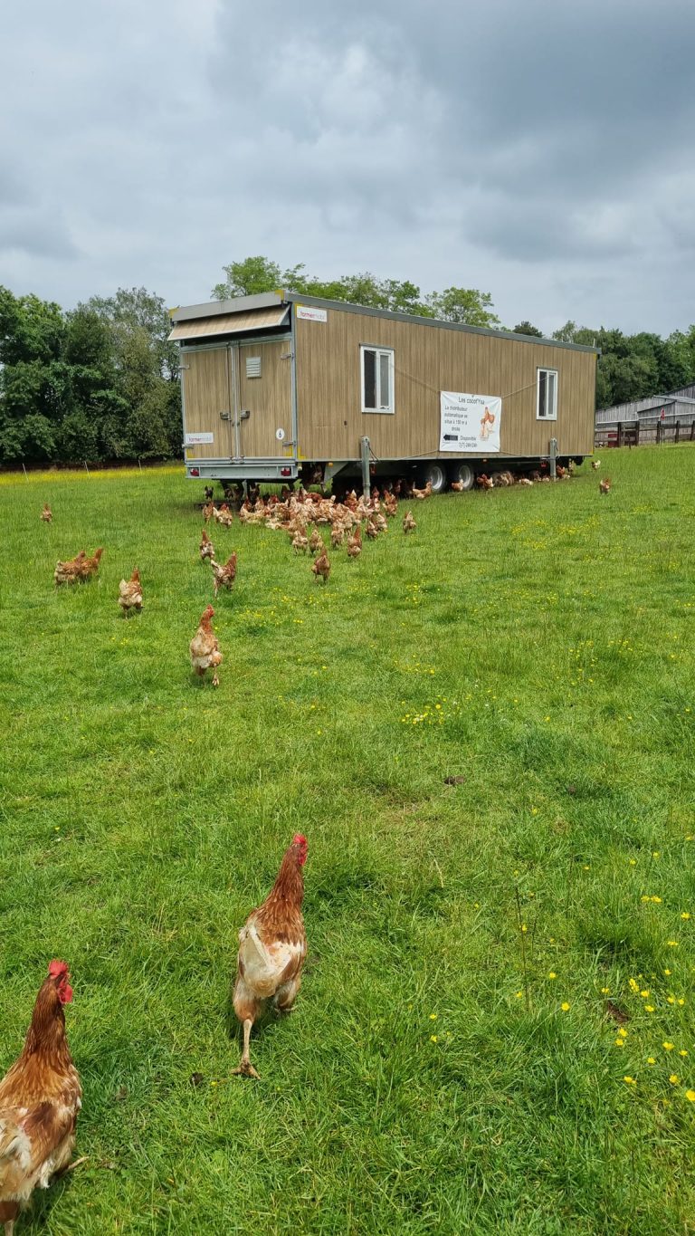 Les Cocot&rsquo;ysa — Photo 2