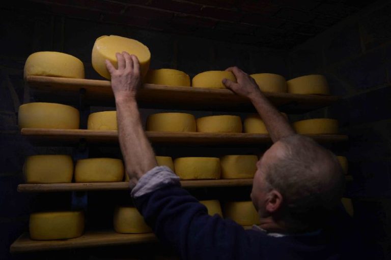 La Ferme fromagère de Chertin — Photo 2