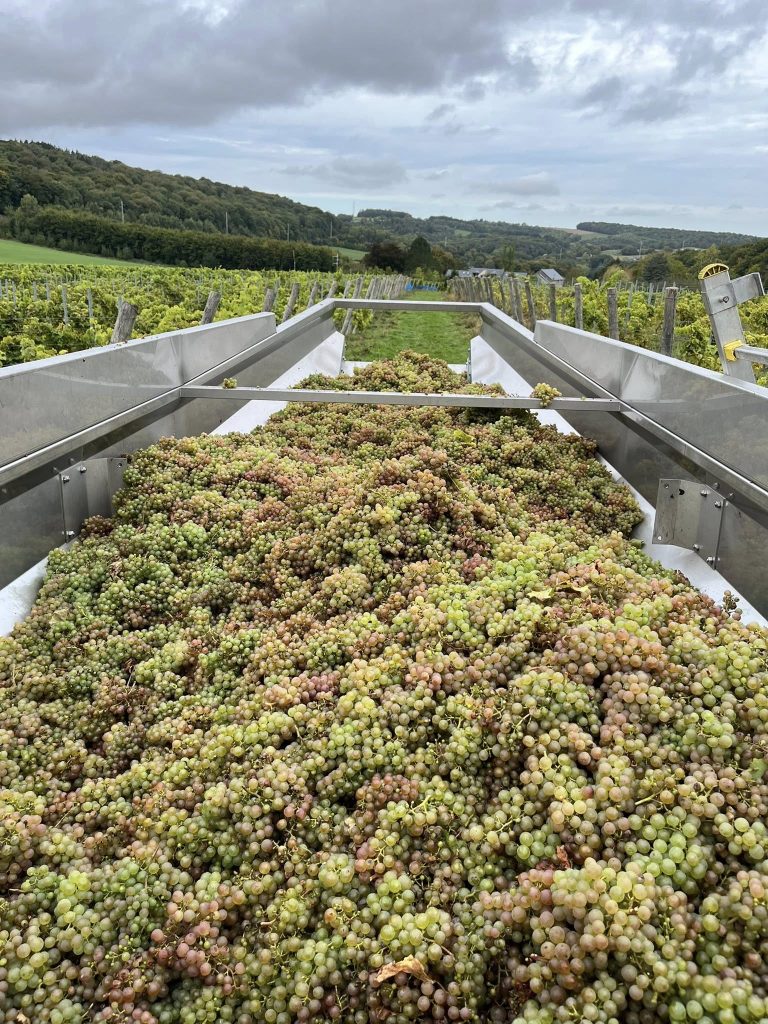 Château d’Annevoie — Photo 2