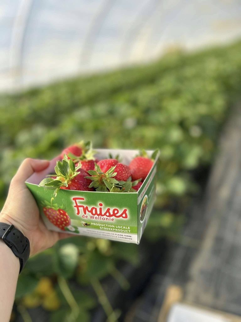 Les Jardins de Mimie — Photo 3