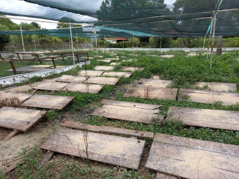 L&rsquo;Escargotière de Warnant — Photo 3