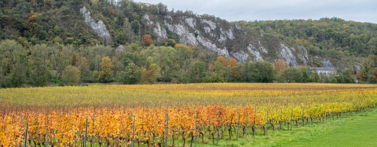 Château Bon Baron — Photo 2