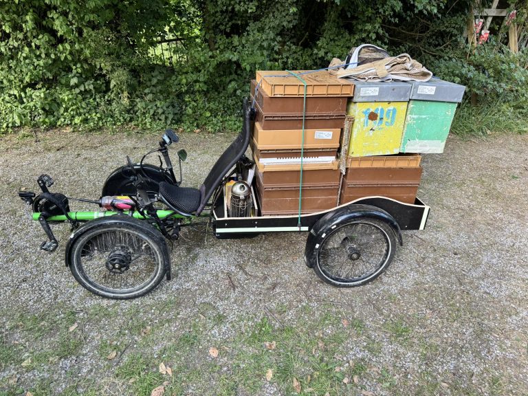 Beetasty — Photo 2