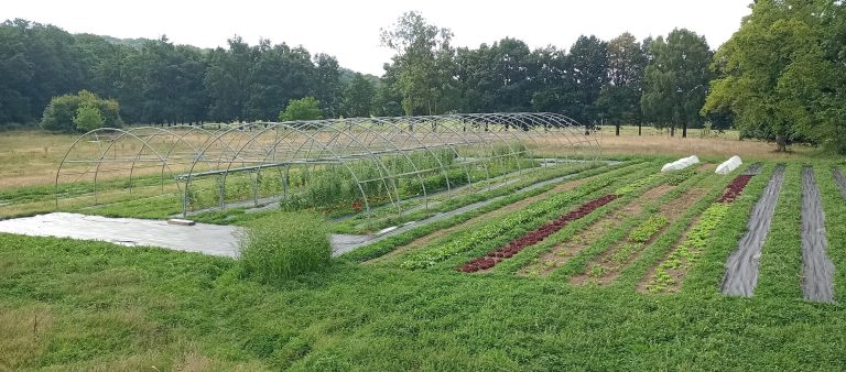 Les Jardins de Saint-Roch — Photo 2