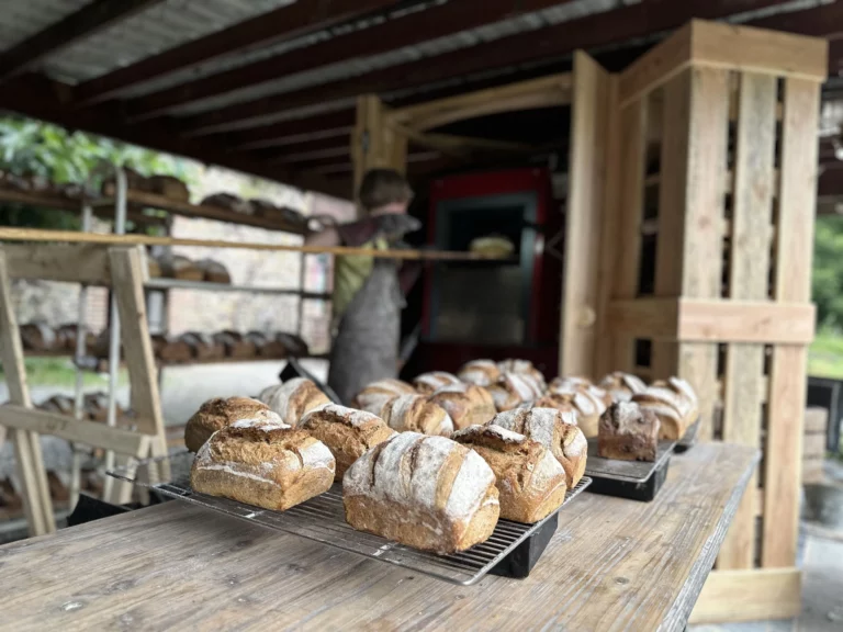 Tranches de vie (boulangerie des 4 Sources) — Photo 2