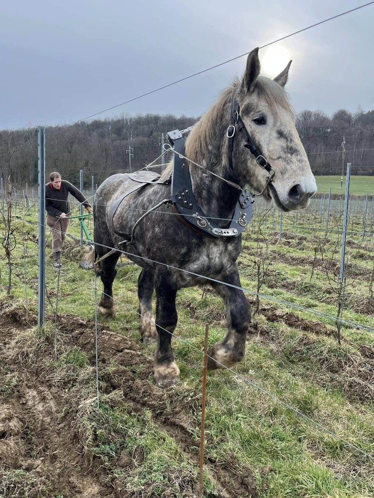 Château d’Annevoie — Photo 4