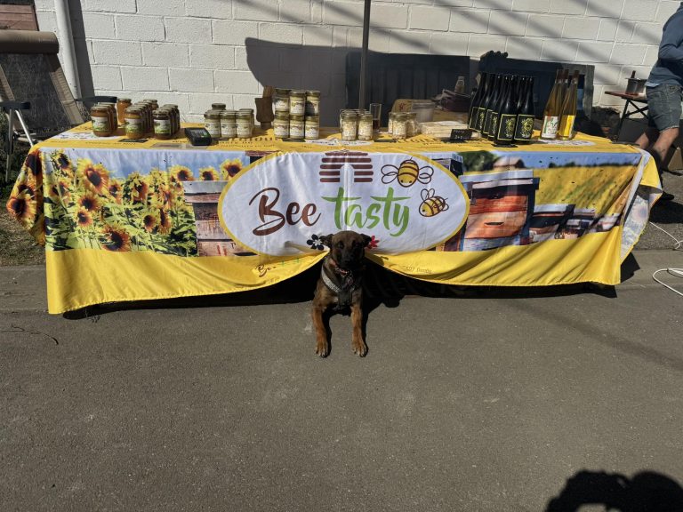 Beetasty — Photo 4