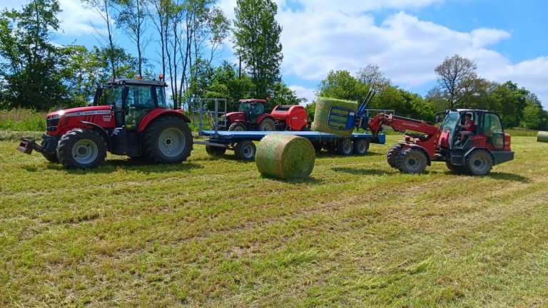 La Ferme de la Rouge Croix — Photo 5