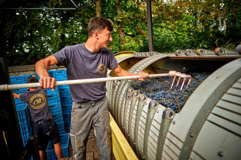 Château de Bioul — Photo 5