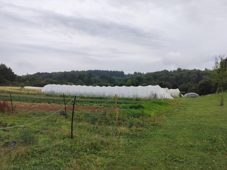 L&rsquo;Épicurie — Photo 3