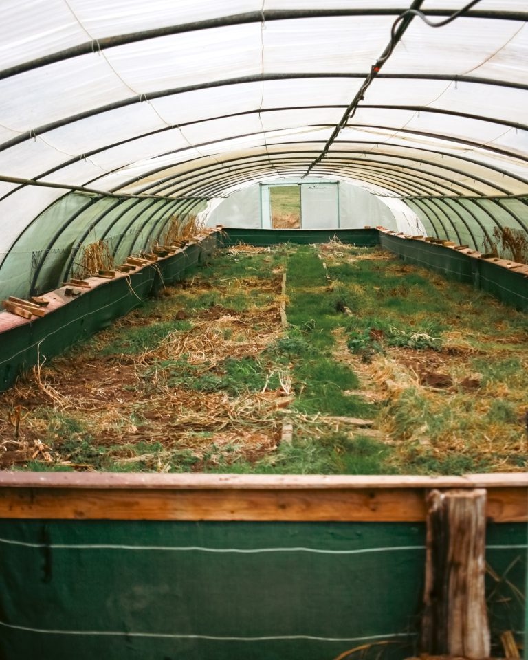 L&rsquo;Escargotière de Warnant — Photo 5