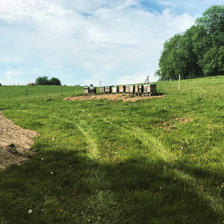 Beetasty — Photo 5