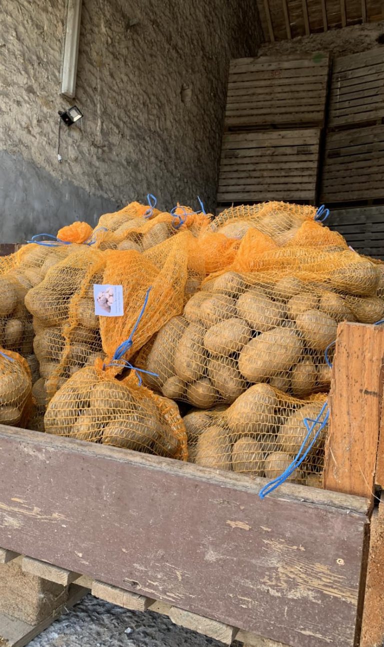 Le Jardin de Sylvain — Photo 6