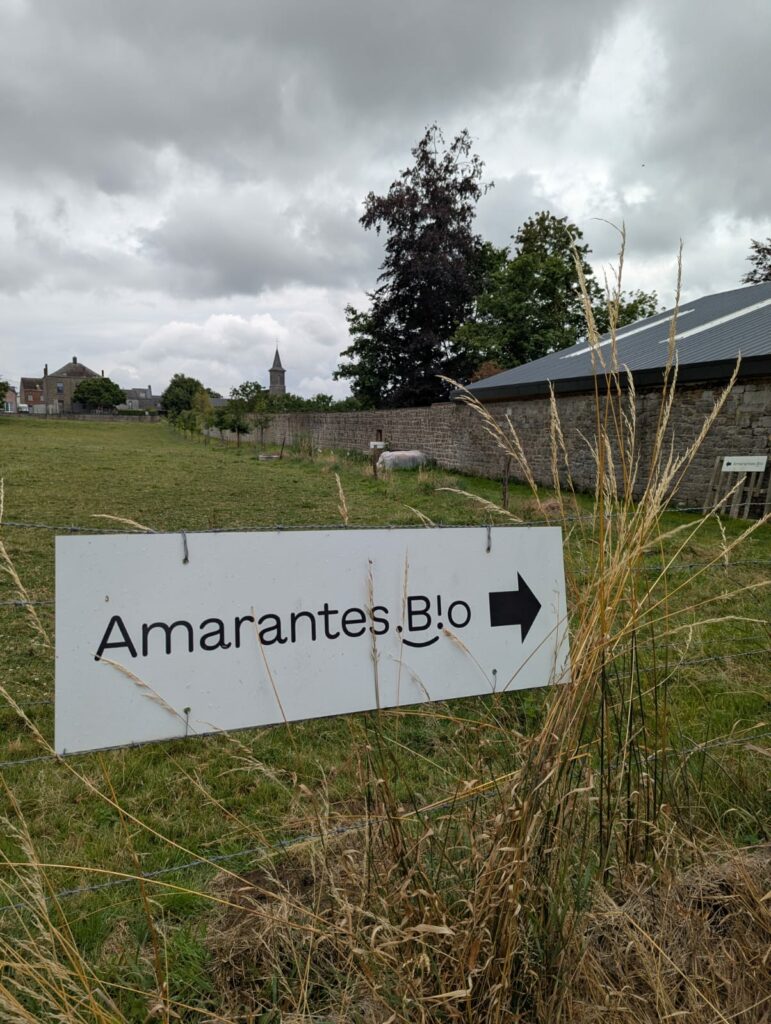Amarantes.bio — Image de couverture
