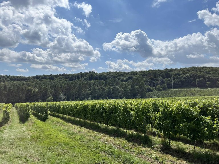 Château d’Annevoie — Photo 6