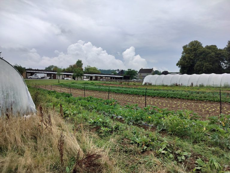 L&rsquo;Épicurie — Photo 4